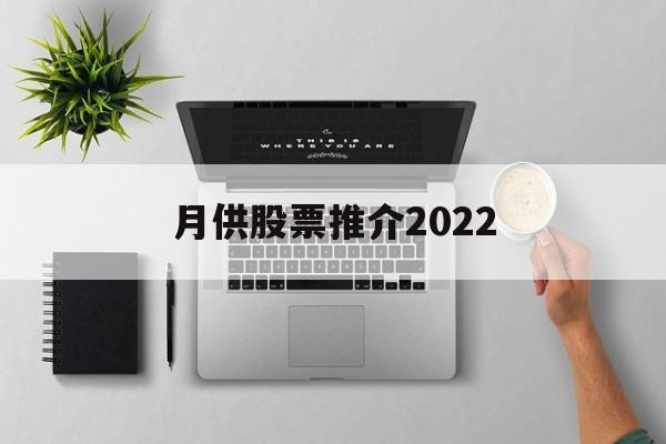 包含月供股票推介2022的词条